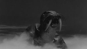 The Disappearance of Flight 206