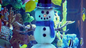 Tanked for the Holidays