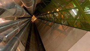 What Are We Really Made Of?