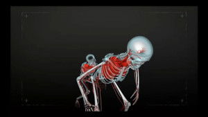 Wait, Don't Tell Me – You’re Dead!