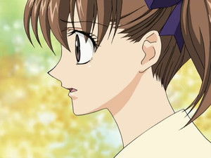 The Yellow Rose Revolution