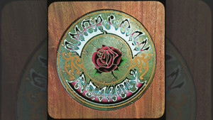 Grateful Dead: Anthem to Beauty