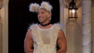 The Golden Bitchelor