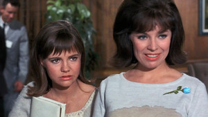 In and Out with the In-Laws