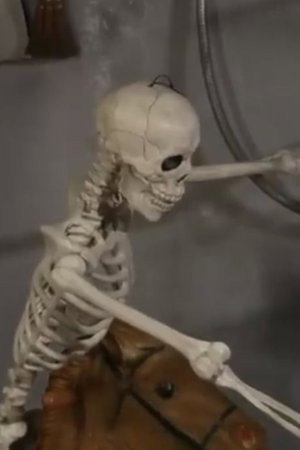 Frank The Skeleton