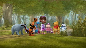 Into the Hundred Acre Wood