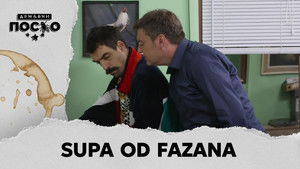 2530 Supa od fazana