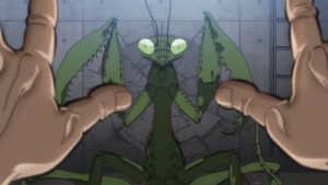 Mixed species' martial arts