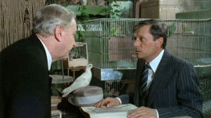 The Sign of the Snake