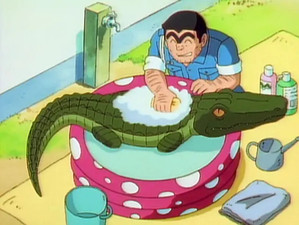 Alligator the Entertainer