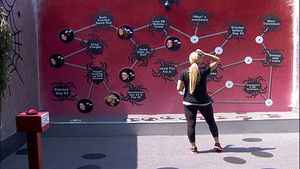 Week 12 POV/Eviction