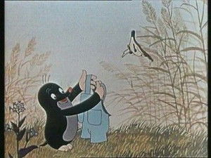 How The Mole Got His Pants...