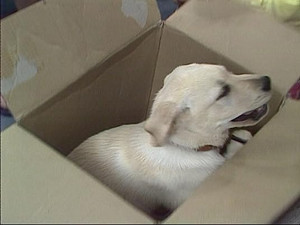 Scott, Charlene, and Mike at the Beach