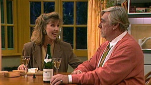 Five hundred years Novib