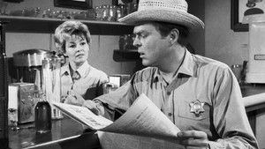 All the Scared Rabbits