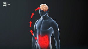Xylella, the brain-gut link, and private astronauts