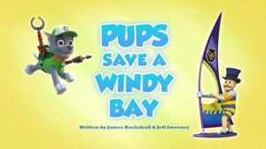 Pups Save a Windy Bay