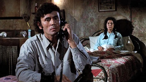 In This Corner -- Sol Albert