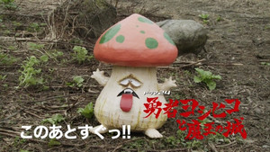 In Which You Should Never Fall in Love with a Maid