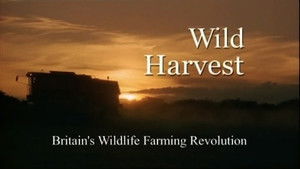 Wild Harvest