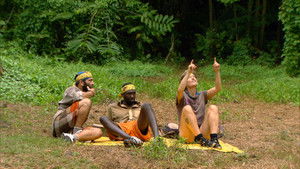 Two Brains Are Better Than One