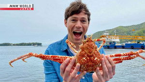 Izu Peninsula: Volcanic Beauty