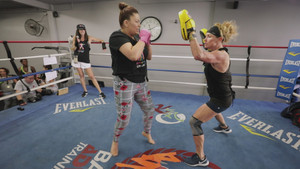 Roll With the Punches