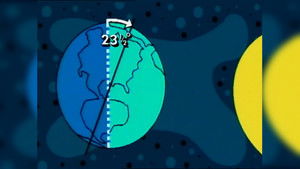 Snakes, Beakmania & Seasons