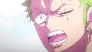 Zoro's Fury! The Truth About the Smile!