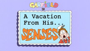 A Vacation From His Senses