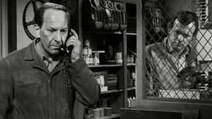 Everybody Gets Hit in the Mouth Sometime