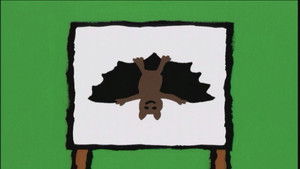 Knock Knock / Panda / Follow the Leader / Beach