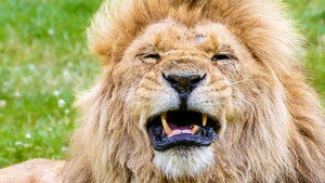 Summer 2023: Episode 7