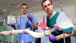 What's in your Diarrhoea?