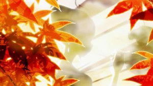 Taking in Fall Colors