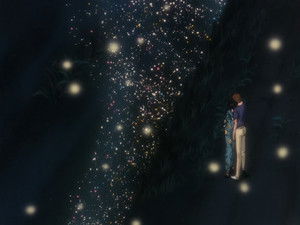 Fireflies, Burning With Love...