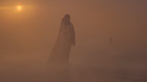 The Blood Runs in the Veins