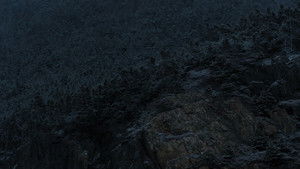 I Don't Want to Forget