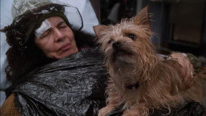 A Shift in the Night