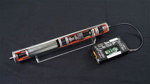 Motorized Conveyor Rollers