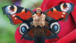 A Meteor For The Dinosaurs, Binary Bangers And Perilous Plants