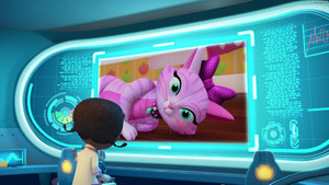 Willow's Wonky Whiskers