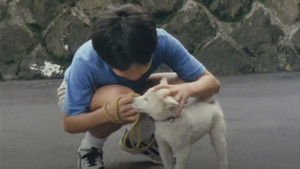 The Dogs Have A Time Bomb