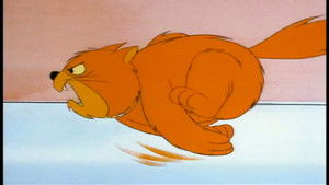 Scooby's Desert Dilemma / The Rare Scare / The Old Cat and Mouse Game / Kitty Sitter / Stowaways / One of Our Aircraft Carriers is Missing