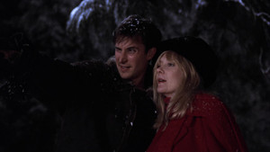 Ask Me No Questions, I'll Tell You No Lies