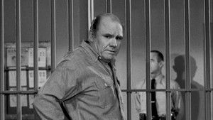 The Case of the Stand-In Sister