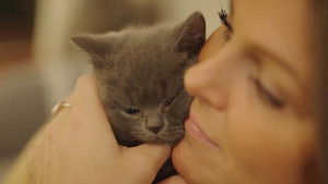 Pups, Kitties, and Three Little Piggies