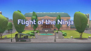 Flight of the Ninja