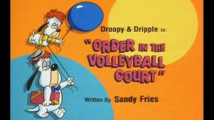 Order in Volleyball Court