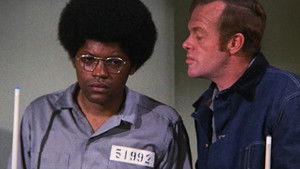 Peace Now -- Arly Blau